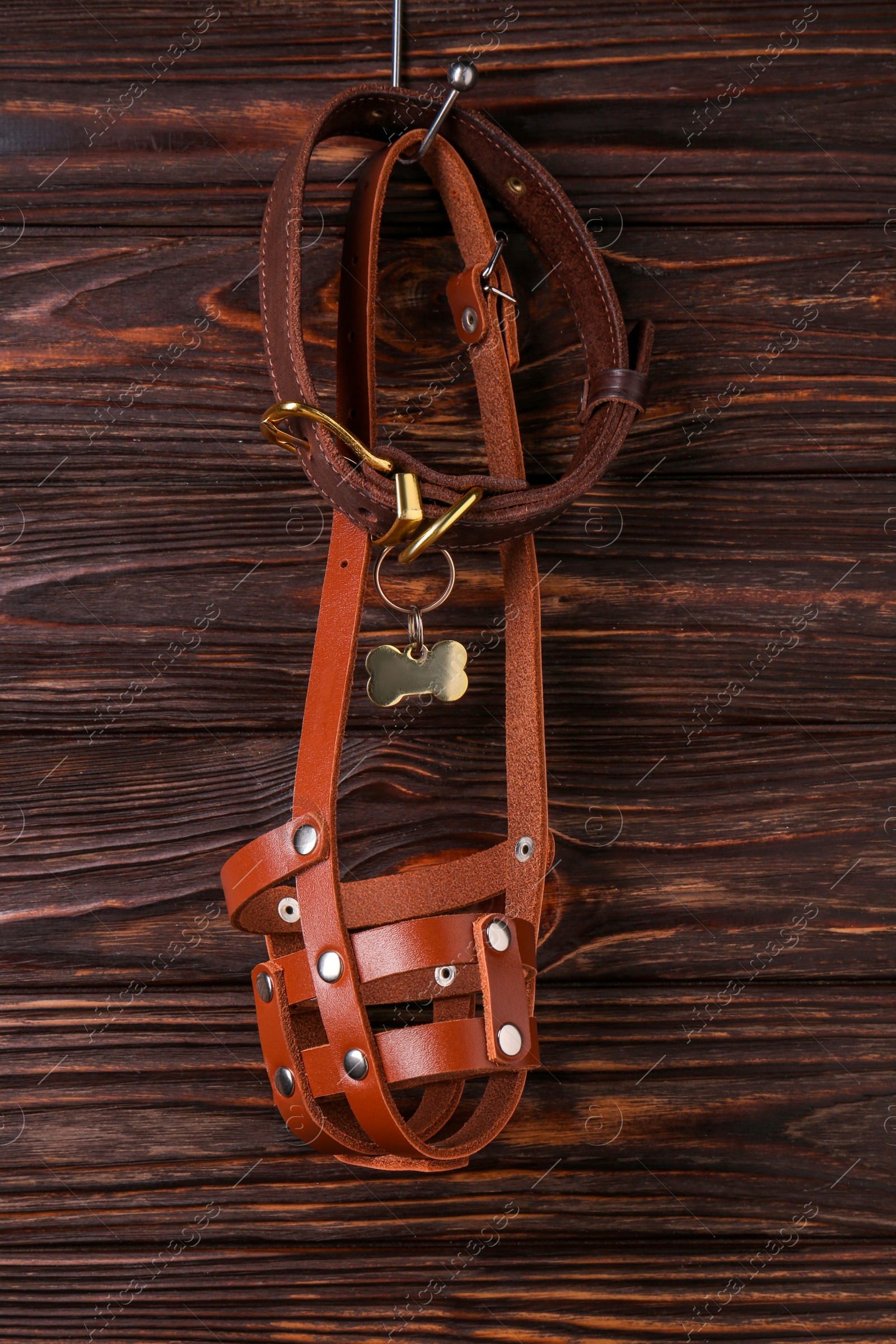 Photo of Brown leather dog muzzle and collar hanging on wooden wall