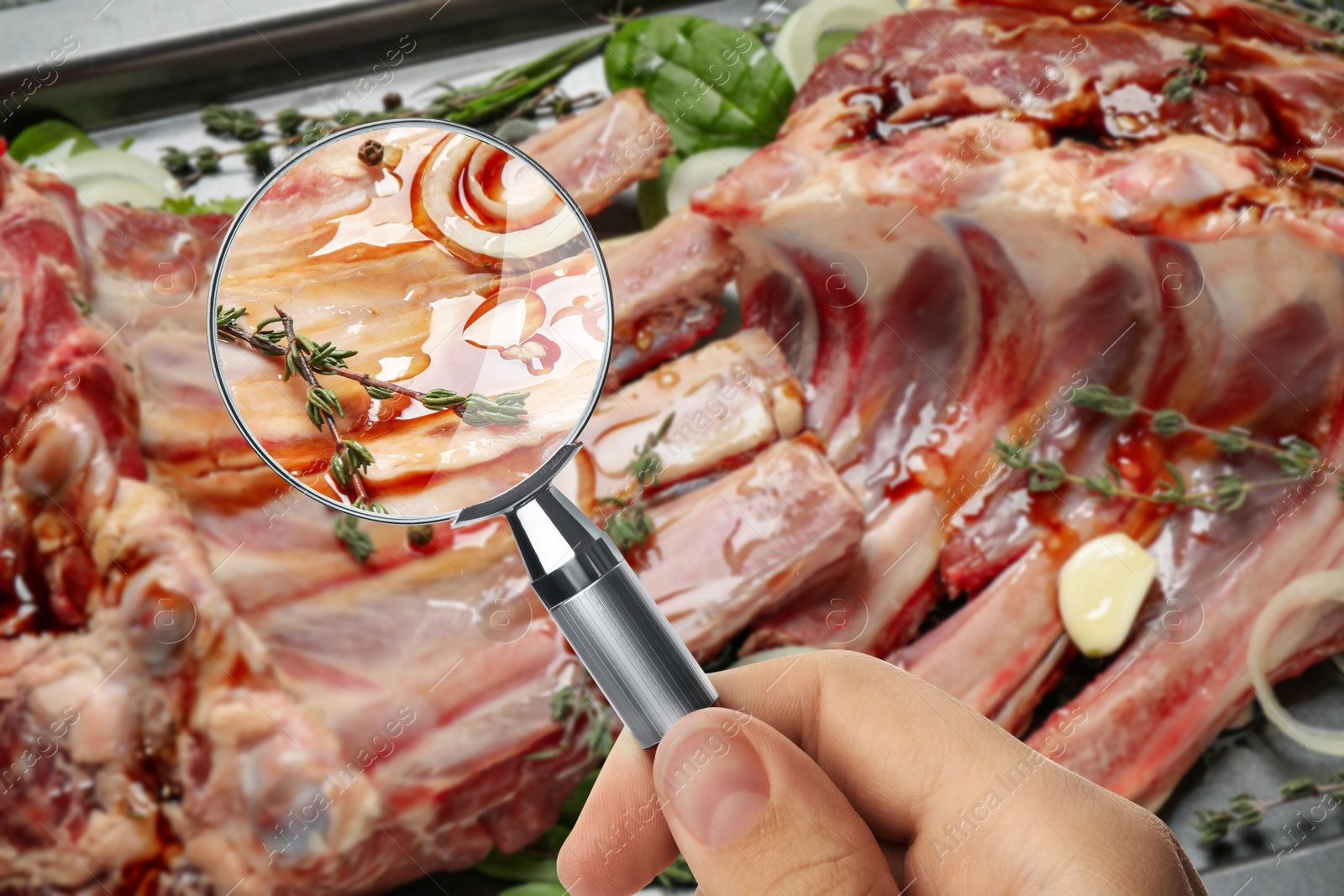 Image of Woman with magnifying glass focusing on fresh raw meat, closeup. Food control 