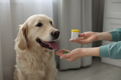 Photo of Woman giving pills to cute dog at home, closeup. Vitamins for animal