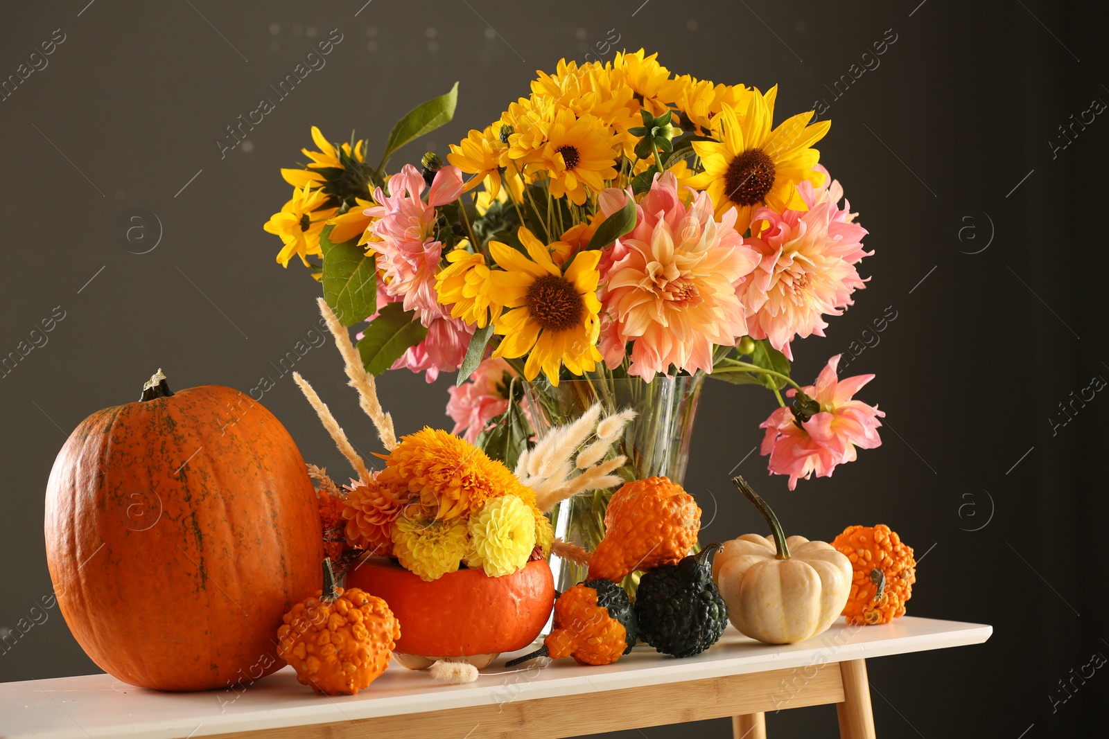 Photo of Autumn composition with beautiful flowers and pumpkins on white table against dark grey background