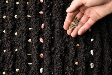 Photo of Woman planting carrot seeds into fertile soil, top view. Vegetable growing