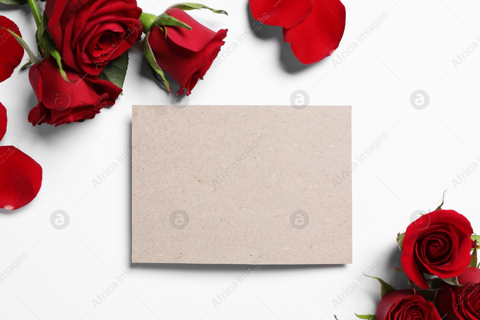 Photo of Blank card, beautiful red roses and petals on white background, flat lay. Space for text