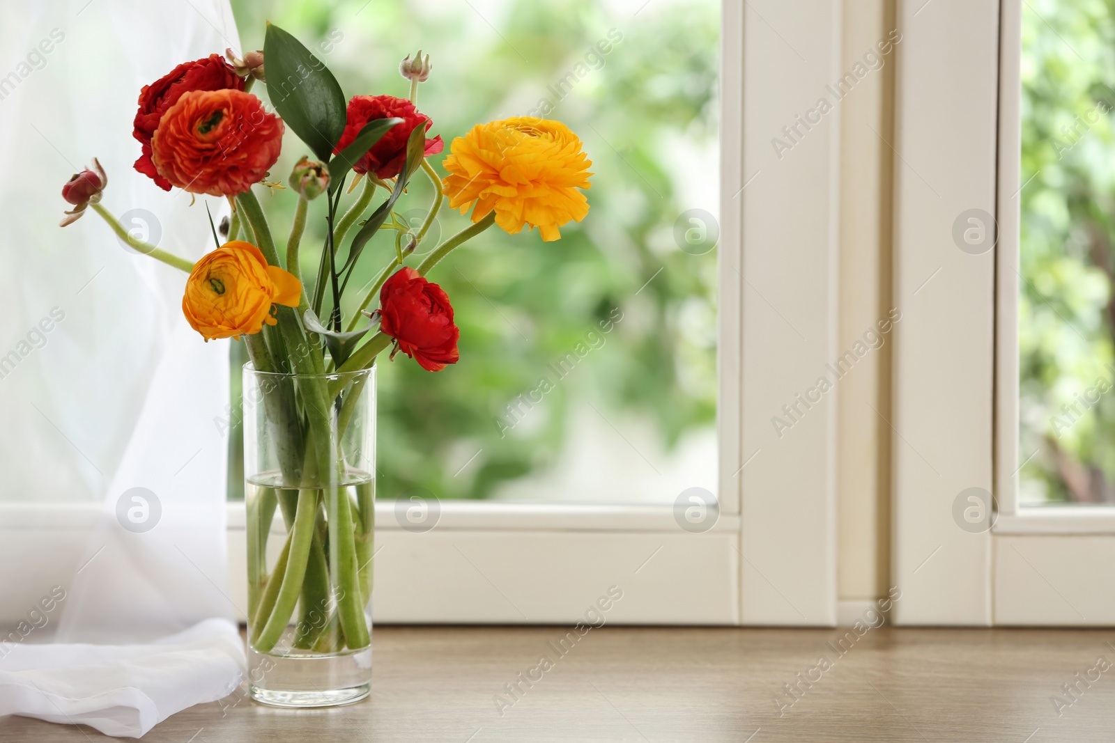 Photo of Beautiful fresh ranunculus flowers on window sill indoors