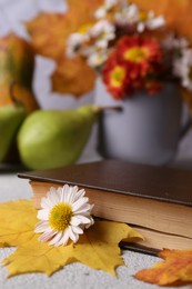 Photo of Book with autumn leaf and chamomile flower as bookmark on light gray table, closeup. Space for text