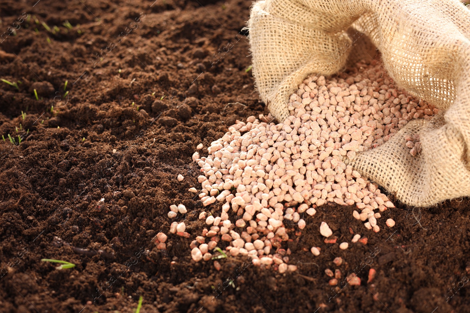 Photo of Granulated fertilizer in sack on soil, closeup