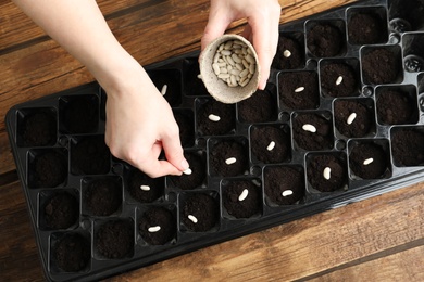 Photo of Woman planting beans into fertile soil at wooden table, closeup. Vegetable seeds