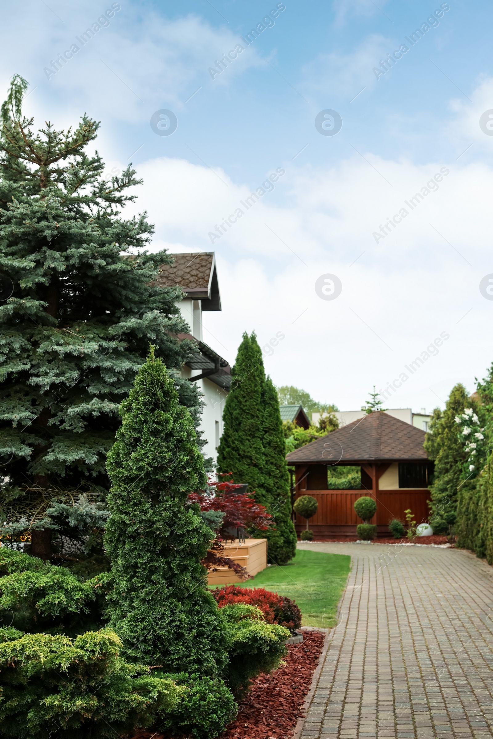 Photo of Picturesque view of beautiful garden and paved pathway on sunny day