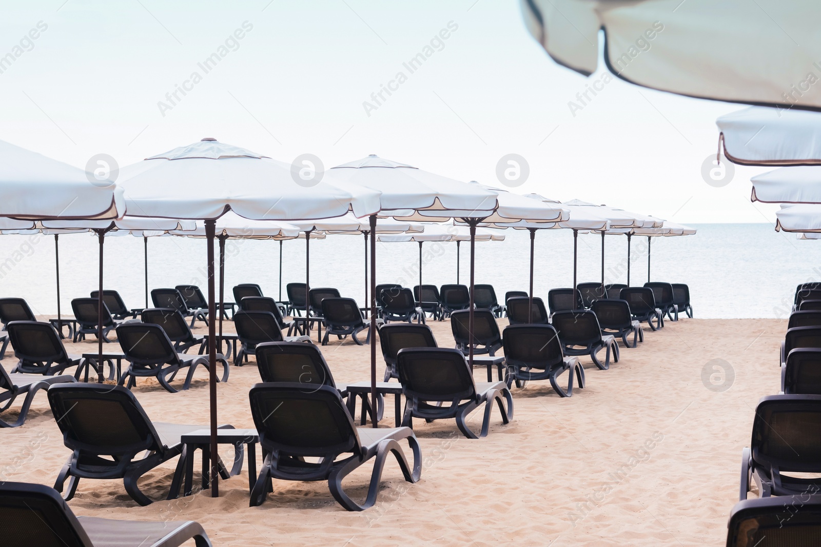 Photo of Many beautiful white umbrellas and black sunbeds on beach