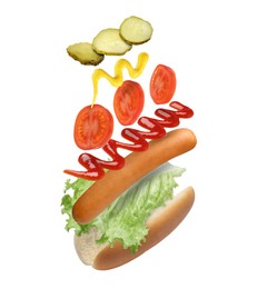 Hot dog ingredients in air on white background