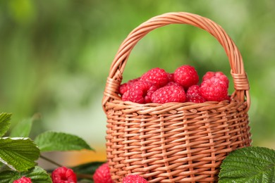 Photo of Wicker basket with tasty ripe raspberries and leaves on blurred green background, closeup