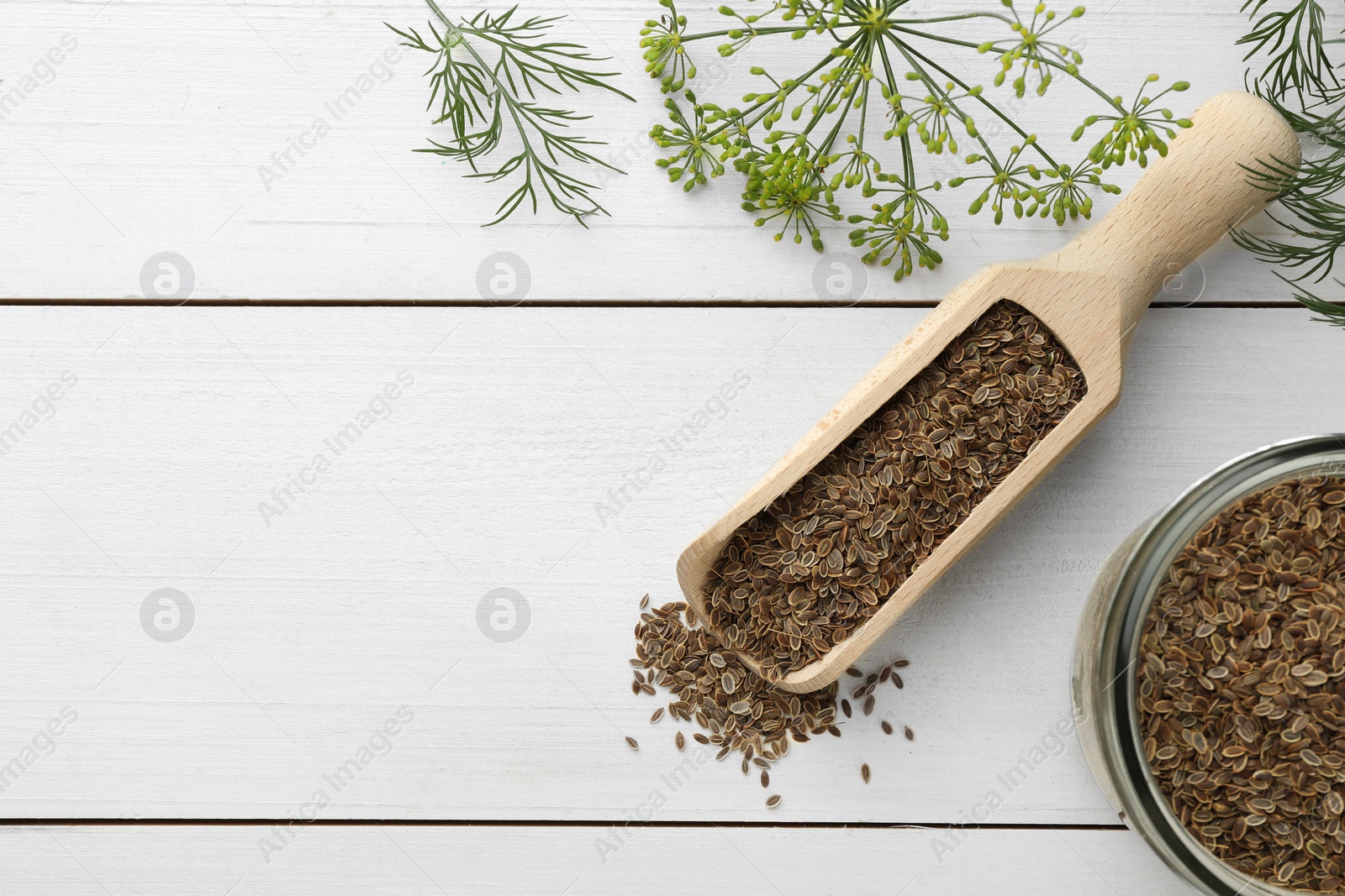 Photo of Dry seeds and fresh dill on white wooden table, flat lay. Space for text
