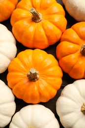 Many white and orange pumpkins on table, flat lay