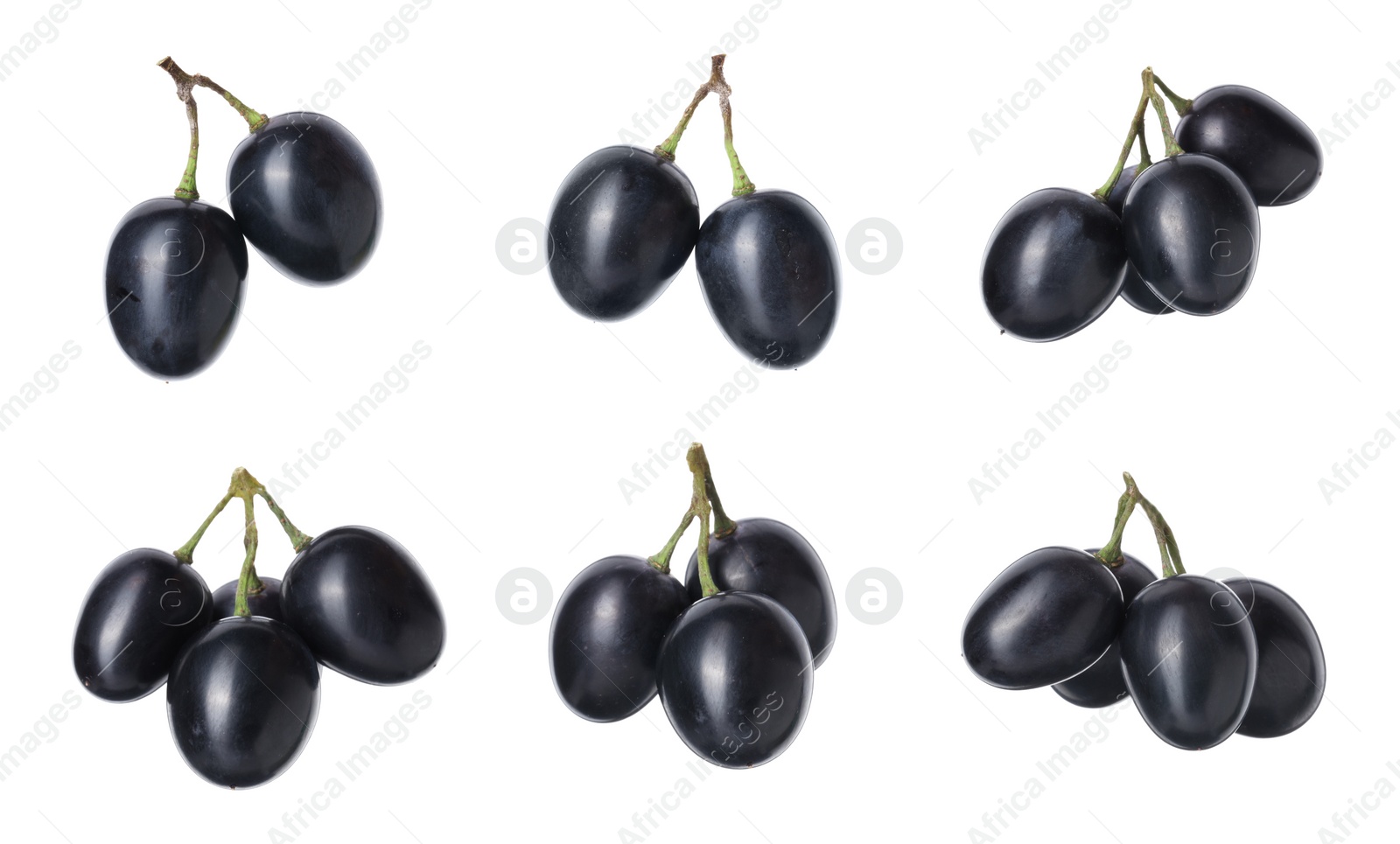 Image of Delicious fresh dark blue grapes isolated on white, set