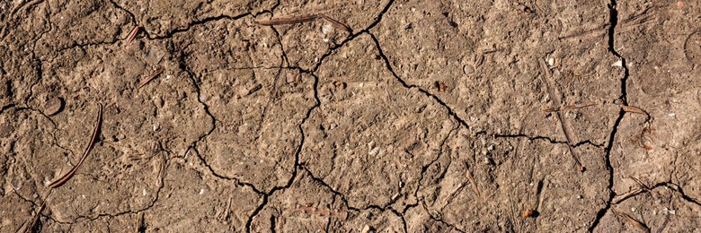 Image of Dry cracked ground as background, top view. Banner design