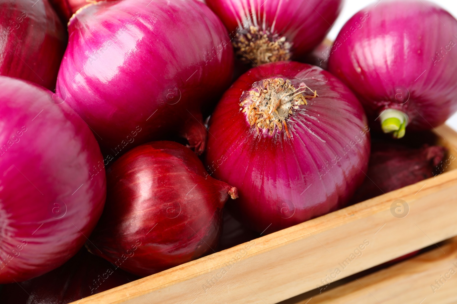 Photo of Many fresh red onions in wooden crate, closeup