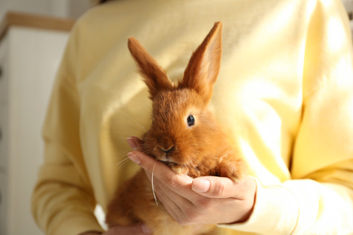 Young woman with adorable rabbit indoors, closeup. Lovely pet