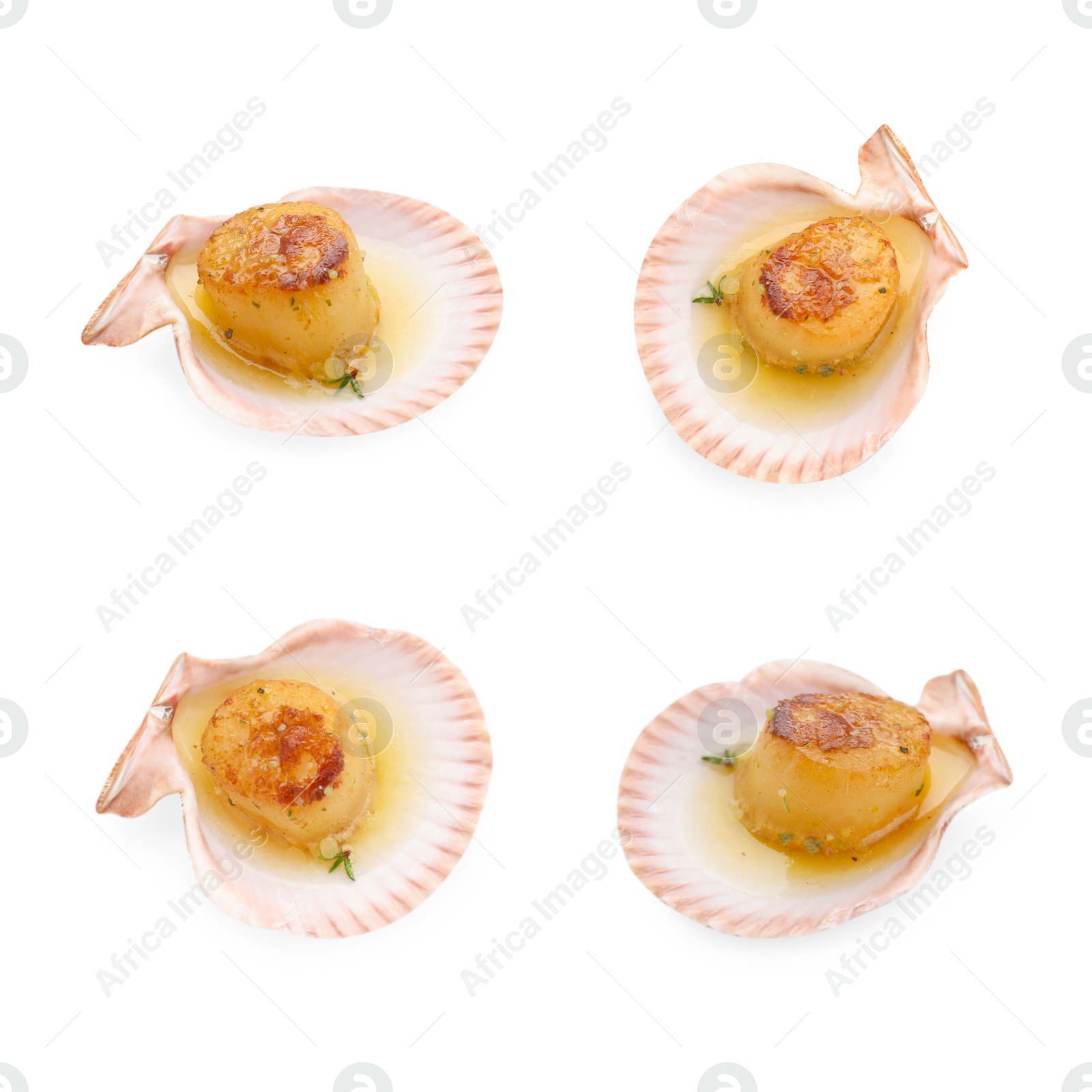 Image of Set of delicious scallop in shell isolated on white, top and side views