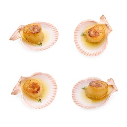 Image of Set of delicious scallop in shell isolated on white, top and side views