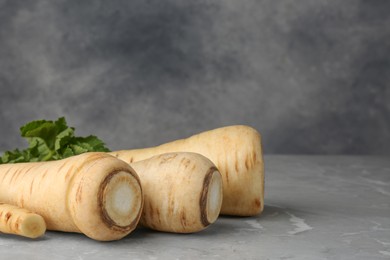 Photo of Many fresh ripe parsnips on grey marble table. Space for text