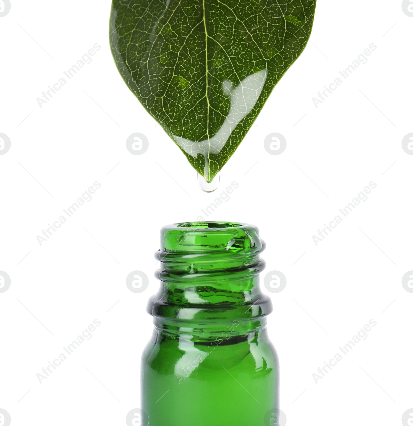 Photo of Essential oil drop falling from green leaf into glass bottle on white background, closeup