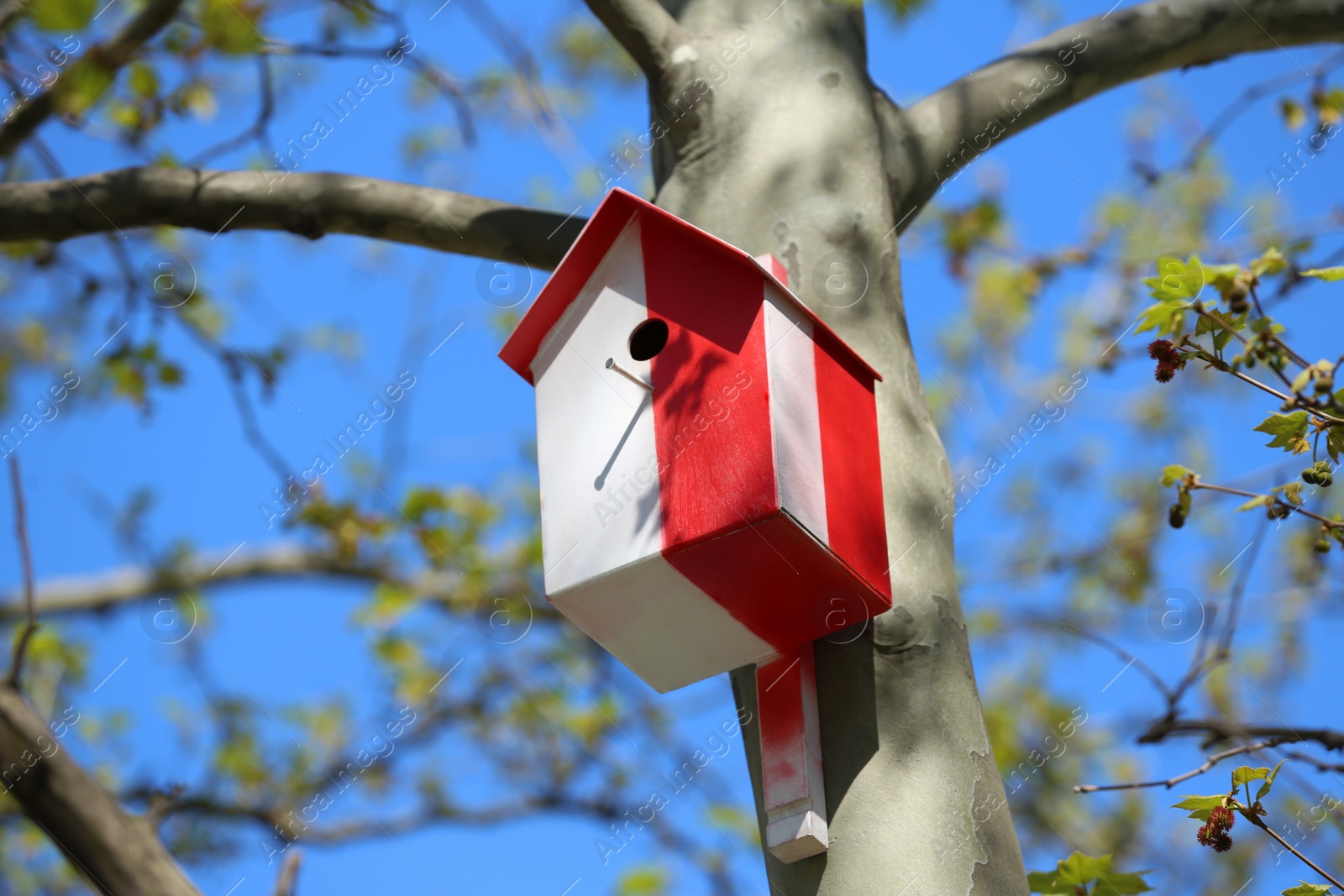 Photo of Red and white bird house on tree outdoors