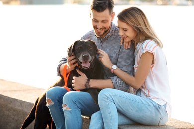 Cute brown labrador retriever with owners outdoors