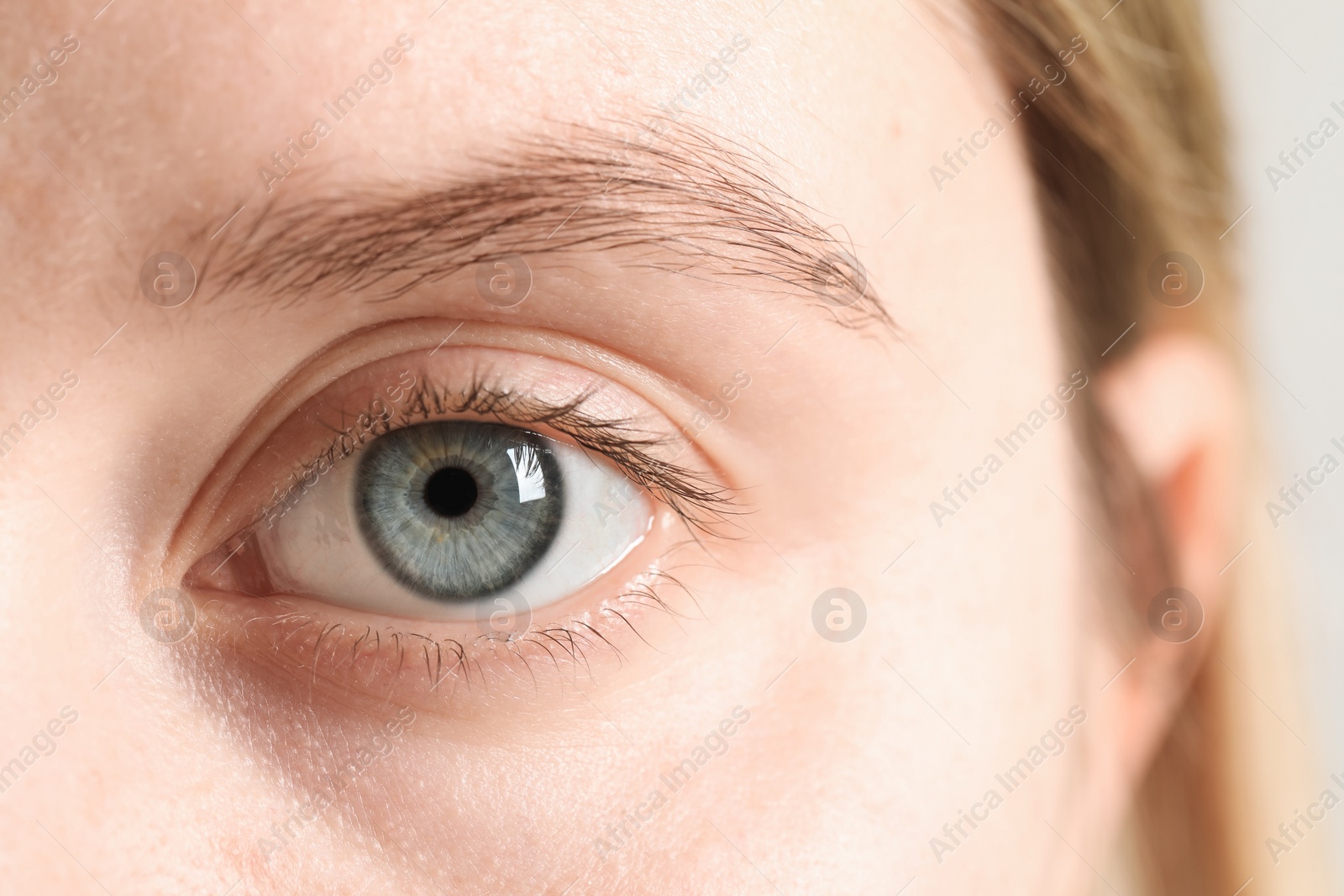 Photo of Macro photo of woman with beautiful eyes