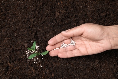 Photo of Woman fertilizing plant in soil, closeup. Gardening season