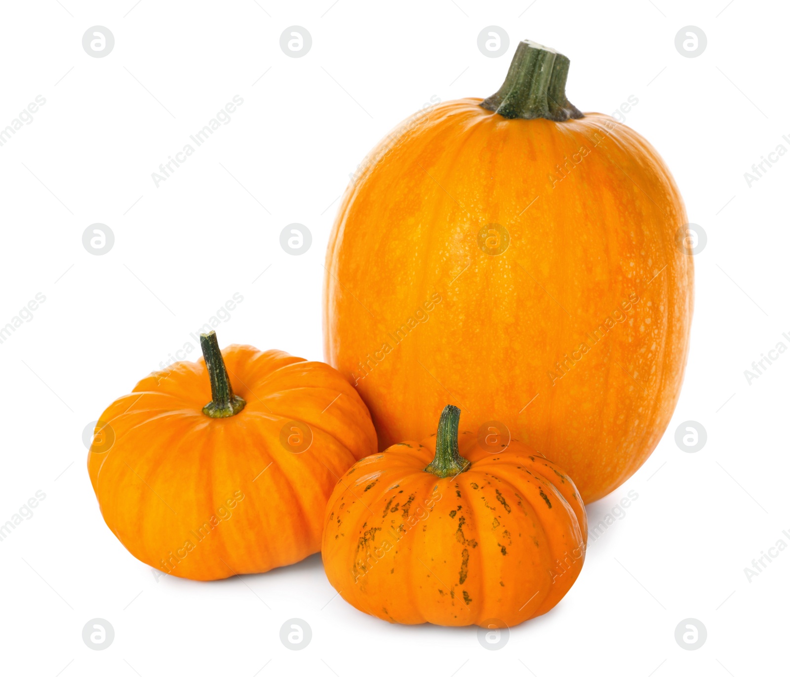 Photo of Fresh ripe orange pumpkins on white background