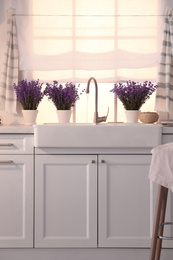 Beautiful lavender flowers on countertop near sink in kitchen