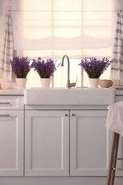 Photo of Beautiful lavender flowers on countertop near sink in kitchen