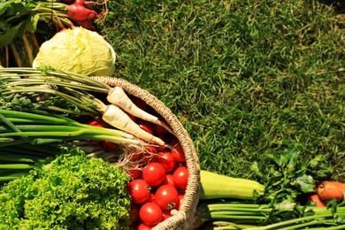 Different fresh ripe vegetables on green grass, flat lay. Space for text