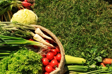 Photo of Different fresh ripe vegetables on green grass, flat lay. Space for text