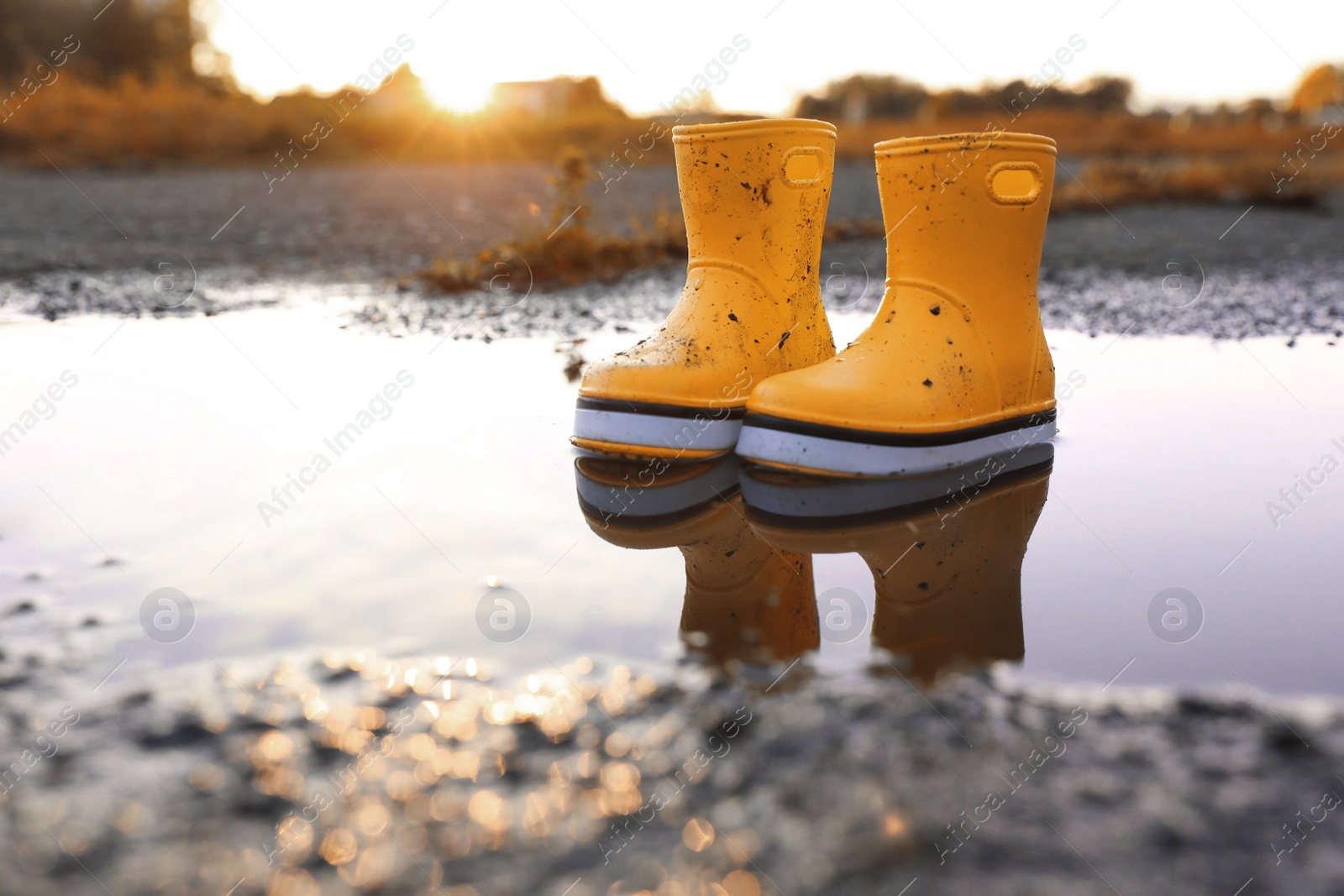 Photo of Yellow rubber boots in puddle outdoors, space for text. Autumn walk