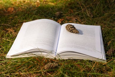Photo of Open book and cone on grass outdoors