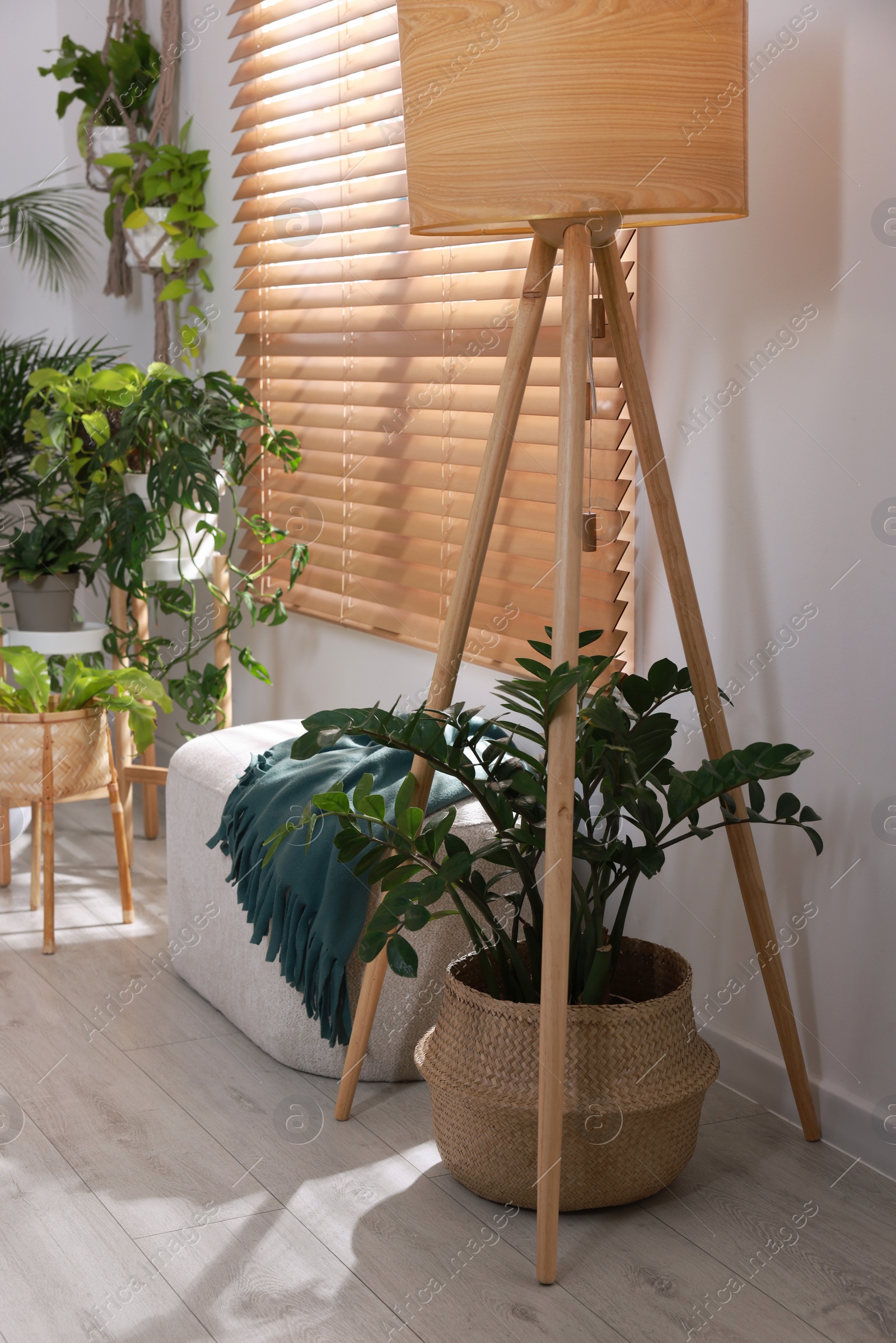 Photo of Cozy room interior with stylish furniture and beautiful houseplants near window