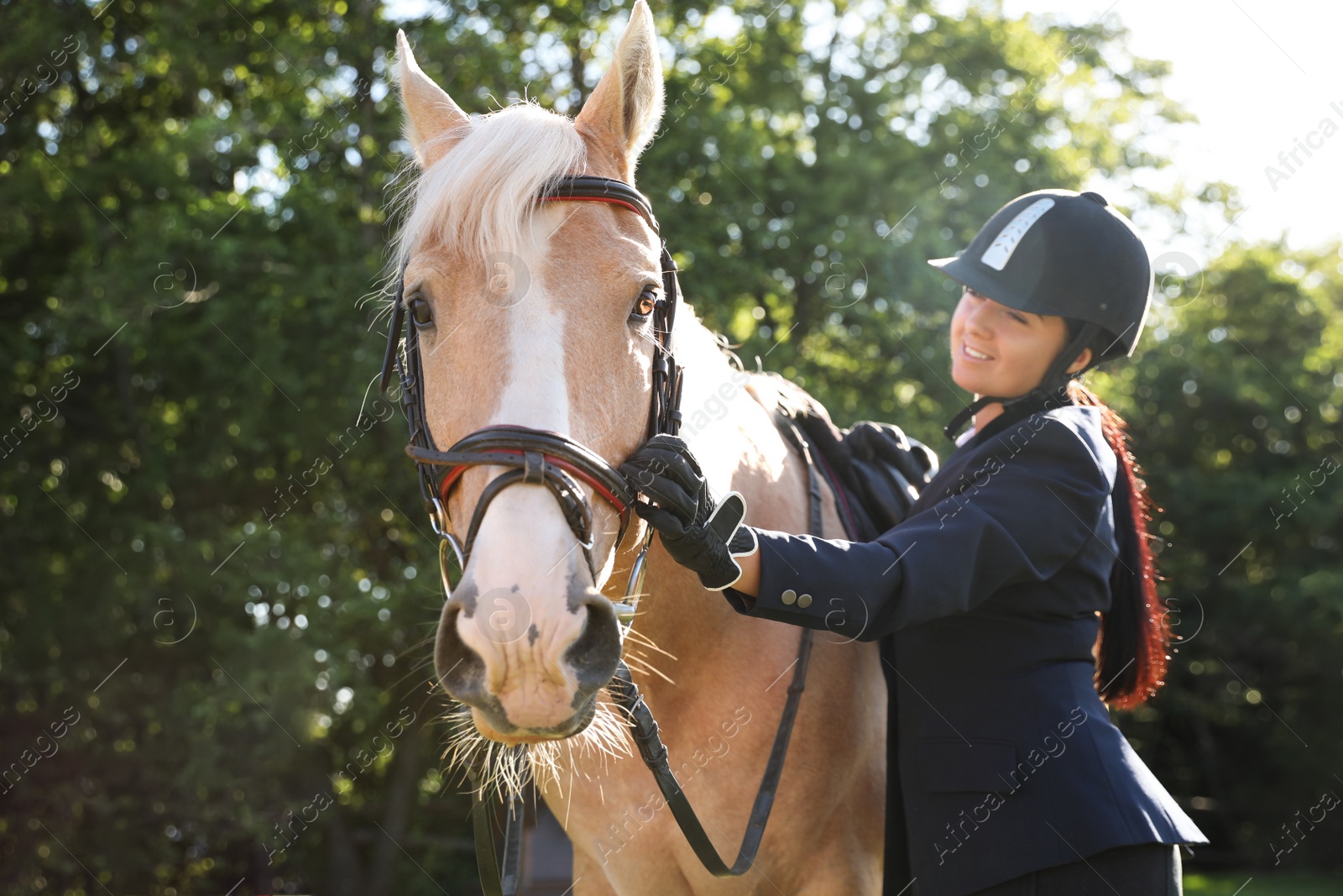 Photo of Young woman in horse riding suit and her beautiful pet outdoors on sunny day