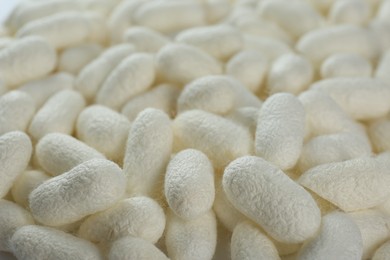 Photo of Pile of natural silkworm cocoons as background, closeup