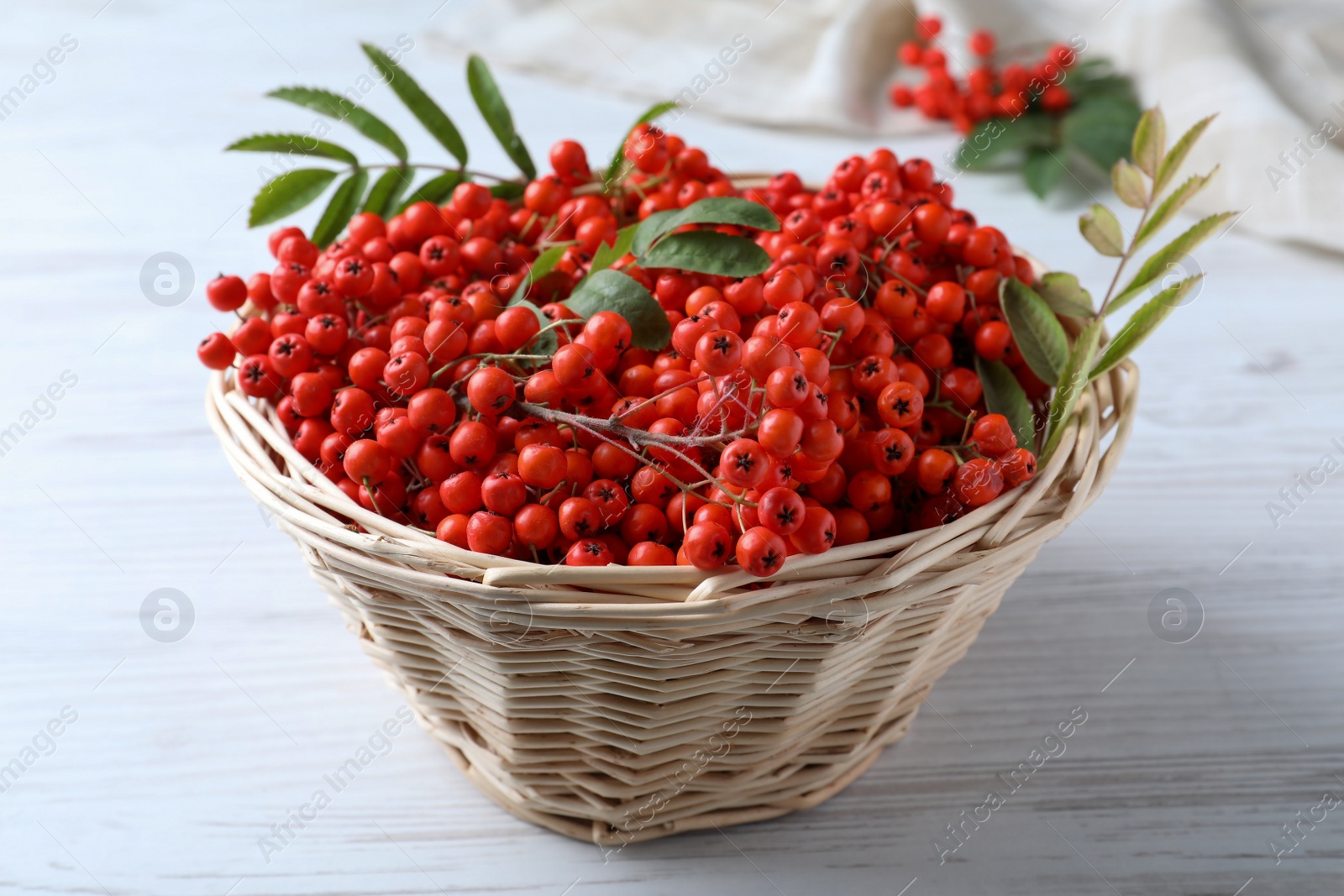 Photo of Fresh ripe rowan berries and leaves in wicker basket on white wooden table