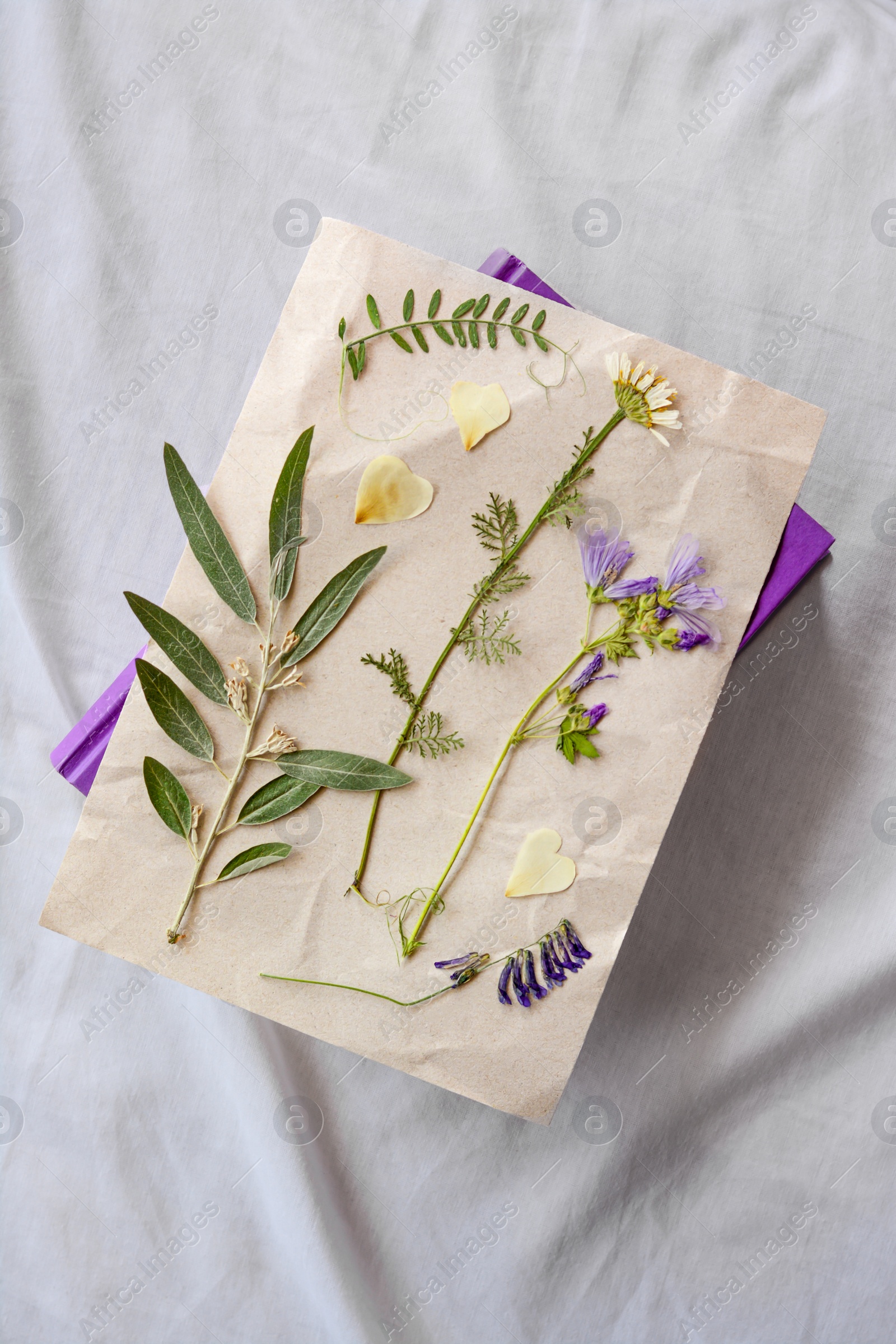 Photo of Sheet of paper with dried flowers and leaves on white fabric, top view