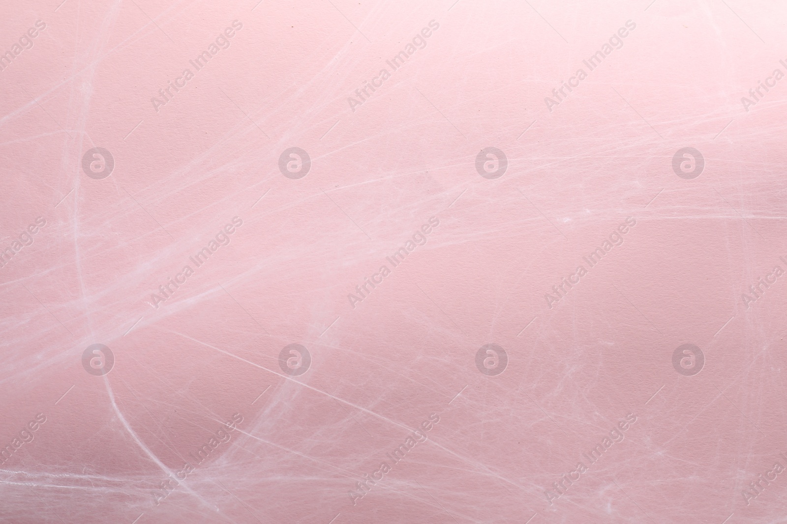 Photo of Creepy white cobweb hanging on pink background