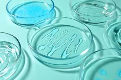Photo of Petri dishes with liquids on turquoise background, closeup