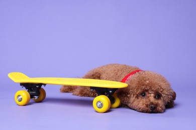 Photo of Cute Maltipoo dog with bandana and skateboard on light purple background