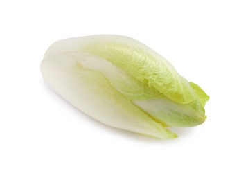 Photo of One raw ripe chicory isolated on white