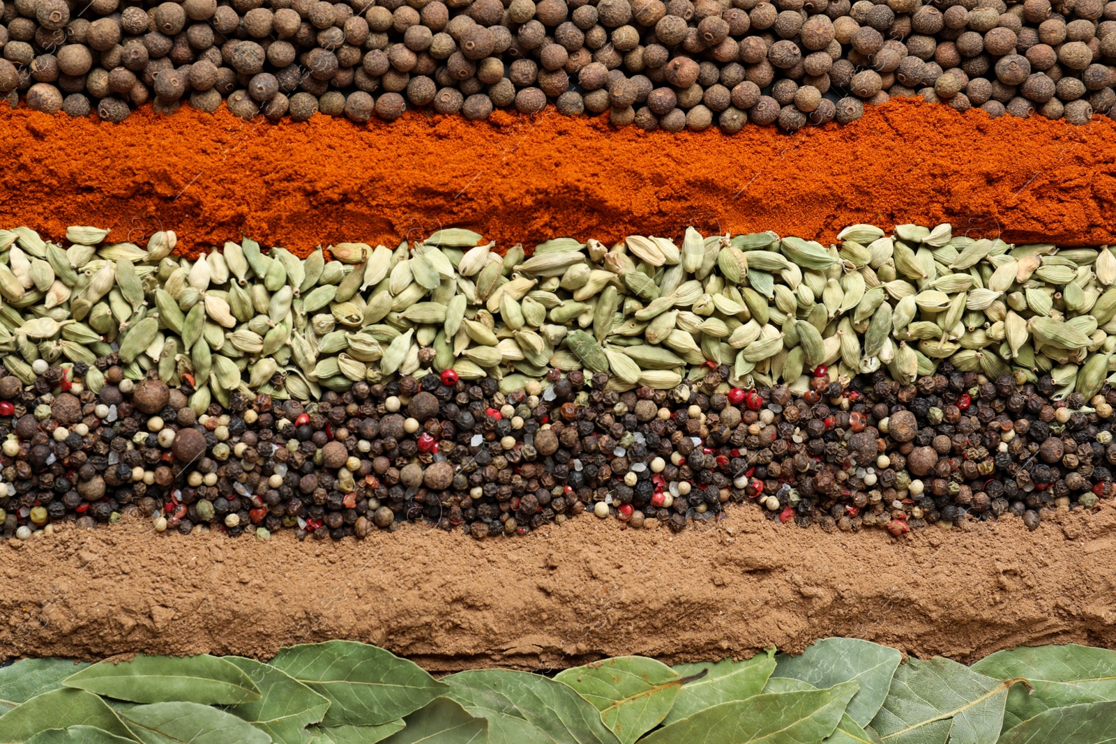 Photo of Set of different spices as background, top view