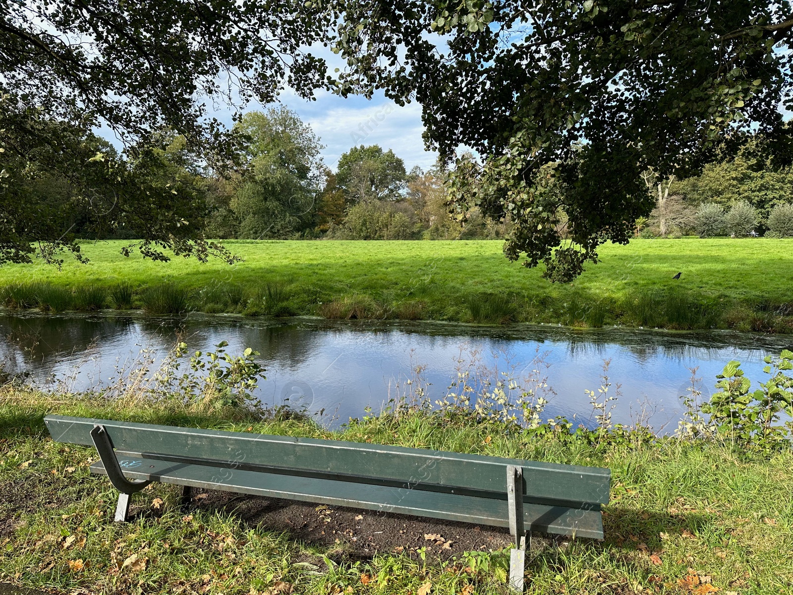 Photo of Wooden bench near pond in picturesque park