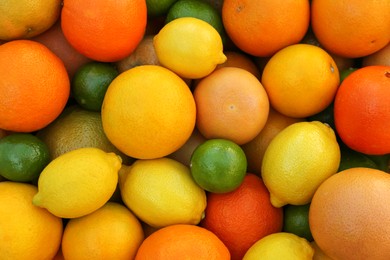 Many different whole citrus fruits as background, top view