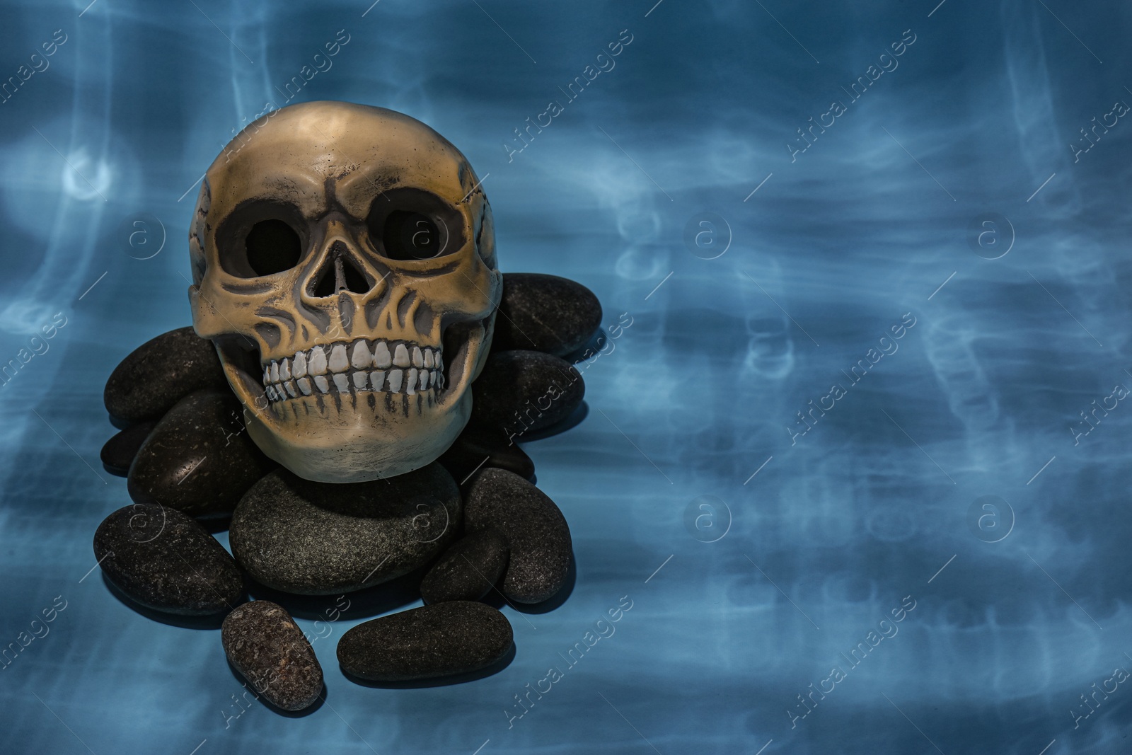 Photo of Human skull and stones on light blue background. Space for text