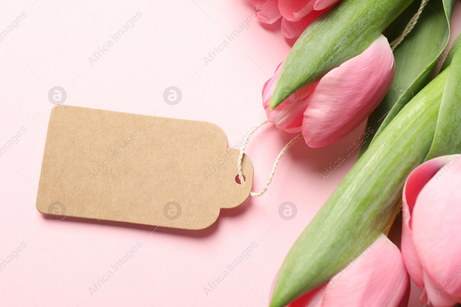 Photo of Happy Mother's Day. Beautiful flowers with blank card on pink background, closeup