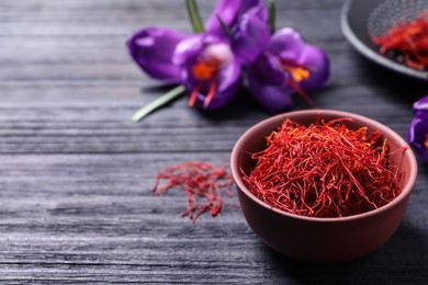 Dried saffron in bowl and crocus flowers on black wooden table, space for text